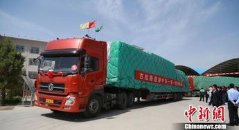 甘肅對 '一帶一路' 沿線國家貿易額大幅增長，運輸通道作用凸顯